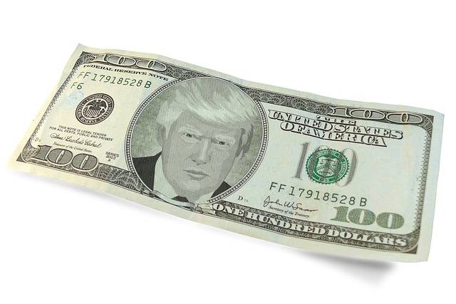 Trump Zölle US-Dollar Euro