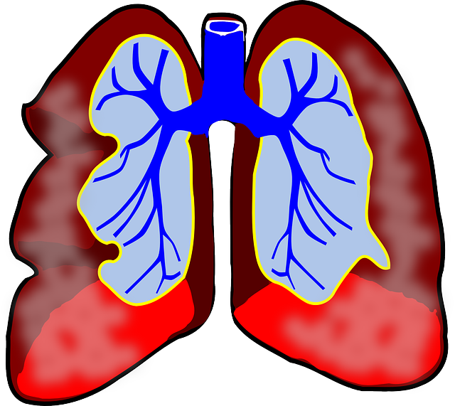 Langzeit Bronchitis