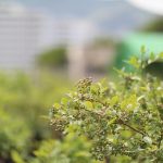 Erholung vor der Haustür