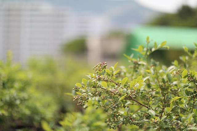 Erholung vor der Haustür