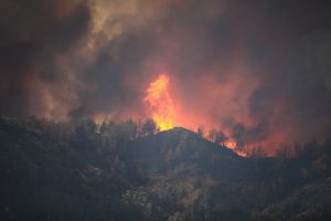 Waldbrand Kreta