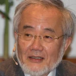Yoshinori Ohsumi Wie Zellen sich selbst reinigen