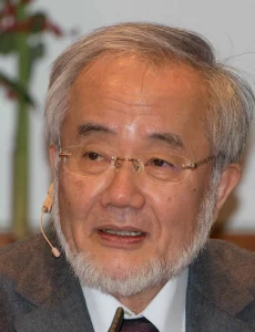 Yoshinori Ohsumi Wie Zellen sich selbst reinigen