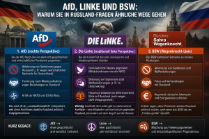 AfD, Linke, BSW Russland Politik Analyse